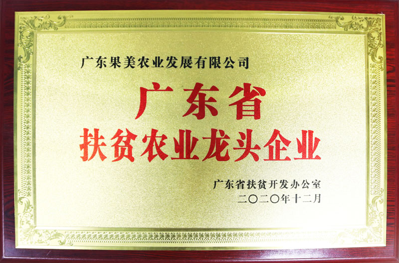 廣東省扶貧農(nóng)業(yè)龍頭企業(yè)