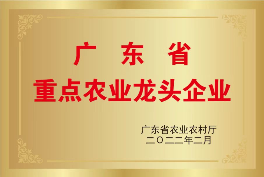 廣東省重點(diǎn)農(nóng)業(yè)龍頭企業(yè)