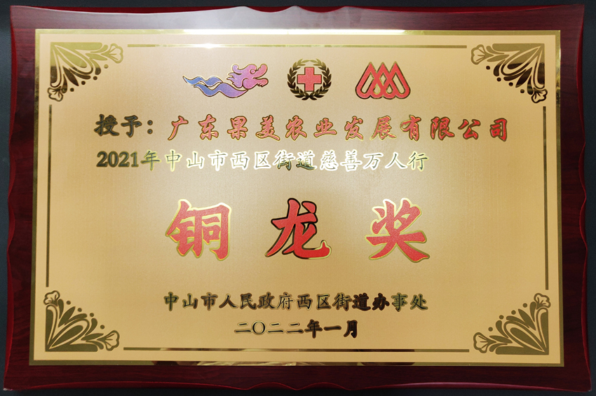 2021年中山市西區(qū)街道慈善萬(wàn)人行銅龍獎(jiǎng)